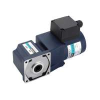 25w Ac Induction Gear Motor Gearmotor