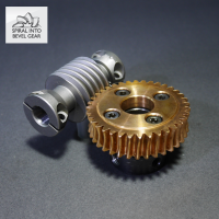 High Quality Brass Worm Gear set for Speed Reducer